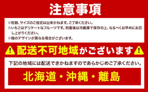 福岡県産 春あまおう 4パック 南国フルーツ株式会社《2月上旬-3月末頃出荷》福岡県 鞍手町 あまおう いちご イチゴ 送料無料【配送不可地域あり】