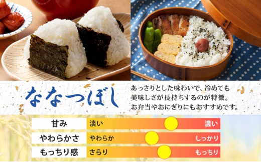 北海道 定期便 3ヵ月連続 全3回 令和6年産 ななつぼし 無洗米 2kg×3袋 計6kg 特A 米 白米 ご飯 お米 ごはん 国産 ブランド米 時短 便利 常温 お取り寄せ 産地直送 送料無料  [№5783-0483]