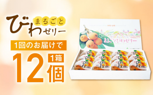 【全6回定期便】まるごとびわゼリー 12個入 長崎県/長崎県農協直販 [42ZZAA230] ゼリー びわ ビワ 枇杷 まるごと 定期便 長崎