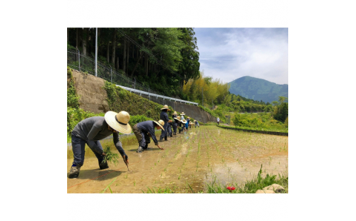 ときがゆったり流れてる”十津川　谷瀬”の地酒!季節限定＜生酒・火入れ＞720ml　各1本【1226649】