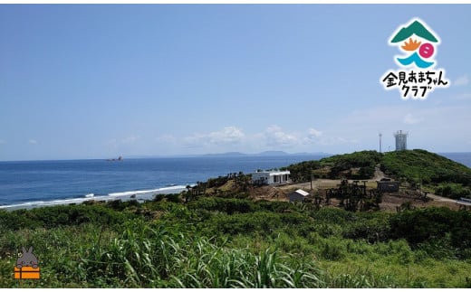 1726徳之島　金見（かなみ）エコツアーまち歩き（2名）