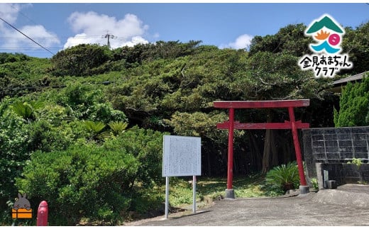 1726徳之島　金見（かなみ）エコツアーまち歩き（2名）