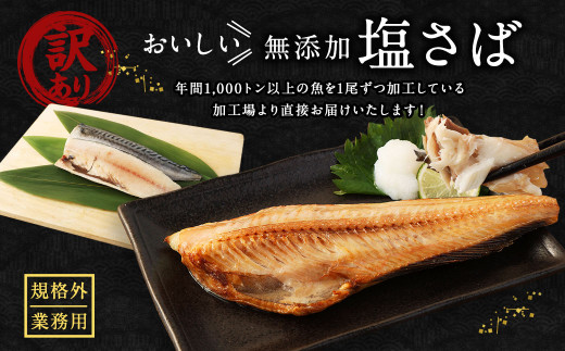 【訳あり規格外】  業務用 無添加 塩さば どーんと! 3kg 鯖 さば 塩サバ 干物 魚