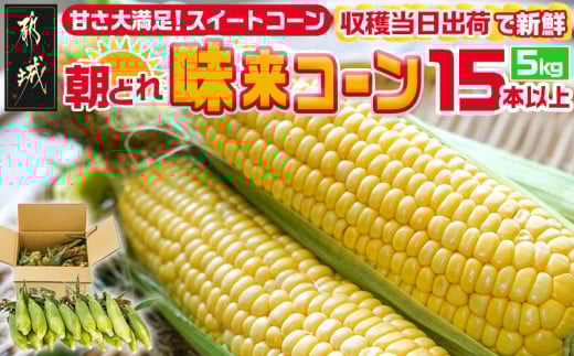 先行予約<2025年7月上旬頃から順次発送>天理市産・大和 先行予約<2025年7月上旬頃から順次発送>天理市産・大和