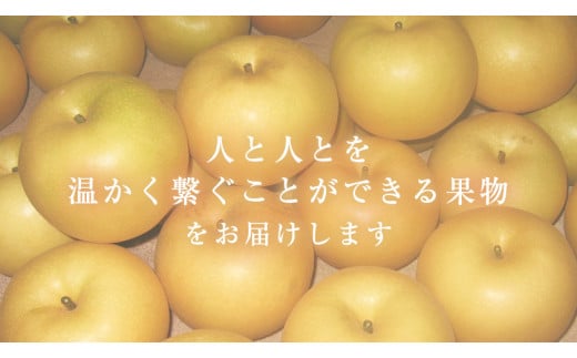 【2025年 先行予約】 旬の梨 あきづき 豊水 のいずれかをお届けします！ 荒尾梨 約3kg (4～8玉前後) 熊本県荒尾市産 髙口果樹園《2025年9月上旬-9月下旬頃出荷》フルーツ 果物