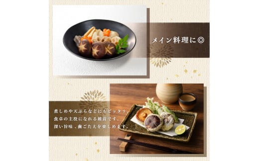 原木乾椎茸　どんこ5袋セット（合計500g） 大分県 しいたけ 肉厚 椎茸 高品質 乾燥 内閣総理大臣賞 料理 特産品 高級 個包装 F07032