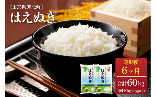 【令和5年産米】※2024年3月下旬スタート※ はえぬき60kg（10kg×6ヶ月）定期便 山形県産【JAさがえ西村山】