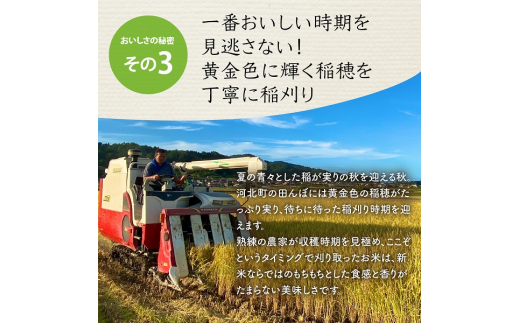 【令和5年産米】※2024年3月下旬スタート※ はえぬき60kg（10kg×6ヶ月）定期便 山形県産【JAさがえ西村山】