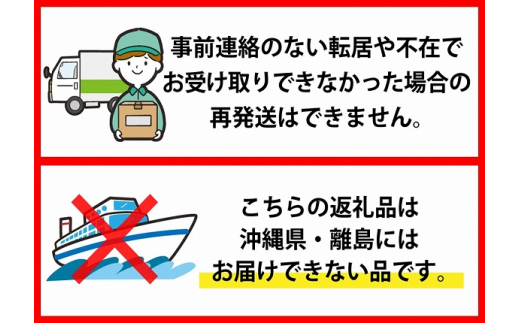 【令和5年産米】※2024年3月下旬スタート※ はえぬき60kg（10kg×6ヶ月）定期便 山形県産【JAさがえ西村山】