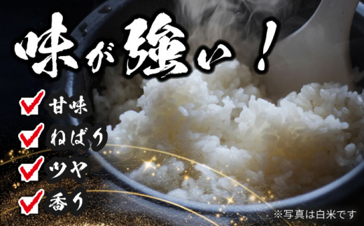 【4月発送】コシヒカリ　玄米　5kg　米　お米　ご飯　愛西市/脇野コンバイン [AECP030-8]