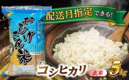 【4月発送】コシヒカリ　玄米　5kg　米　お米　ご飯　愛西市/脇野コンバイン [AECP030-8]