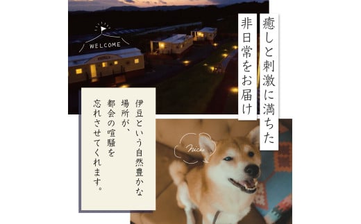 グランピング ペットと泊まれる 中伊豆EAST WINDS VILLAGE 宿泊補助券 60,000円分 【静岡県 伊豆市 宿泊券 宿泊 旅行 旅行クーポン 商品券 補助券 リゾート ヴィラ ペット 静岡 伊豆  ペット 宿泊 キャンプ ドッグラン 愛犬 手ぶら BBQ バーベキュー リゾート ヴィラ キャビン 家族 ファミリー カップル 友人 旅行 】　20-001