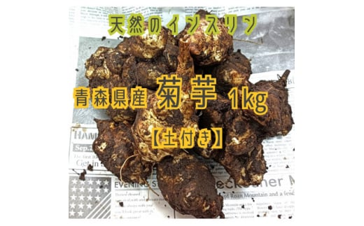 「天然のインスリン」青森県十和田市産　菊芋　1kg【1266490】