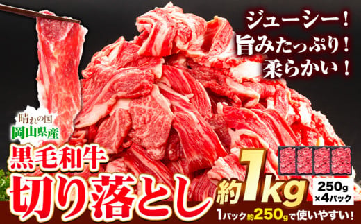 牛肉 黒毛和牛 切り落とし 1kg 《30日以内に出荷予定(土日祝除く)》 岡山県 矢掛町 牛 牛肉 和牛 牛丼 カレー 小分け 小分けパック 250g 送料無料