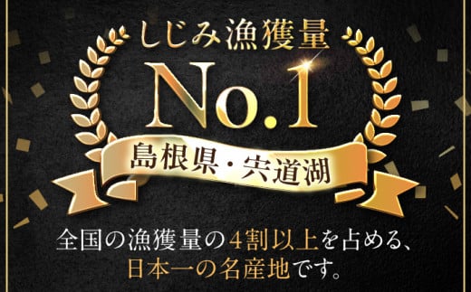 宍道湖産レトルトしじみ (M)100g×12袋 島根県松江市/平野缶詰有限会社 [ALBZ011]