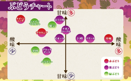 富士の輝 1房 約700～900g 葡萄 ブドウ ぶどう 大粒 種なし ブラック シャインマスカット 甘い 皮ごと フルーツ 果物 産地直送 新鮮 お取り寄せ ギフト 国産 季節限定 茨城県 結城市 [№5802-1034]