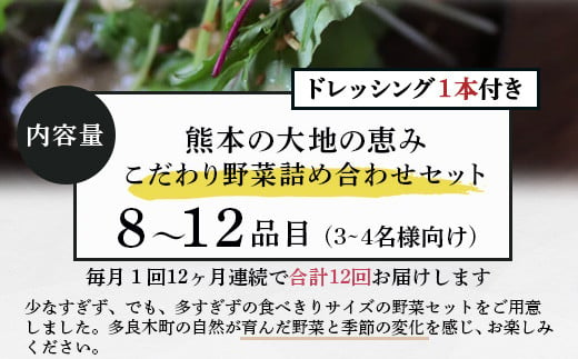 定期便6回【 野菜で野菜を食べる 】旬のこだわり 野菜 ＆ドレッシング セット  (3〜4名様向け) 