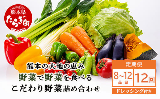 定期便6回【 野菜で野菜を食べる 】旬のこだわり 野菜 ＆ドレッシング セット  (3〜4名様向け) 