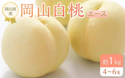 岡山県産 桃 岡山白桃 2025年 先行予約 エース 約1kg（4～6玉）もも モモ フルーツ 果物 ギフト