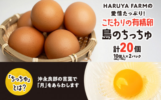 【ご家庭用】HARUYA FARMの有精卵「島のちっちゅ」　W065-001-02