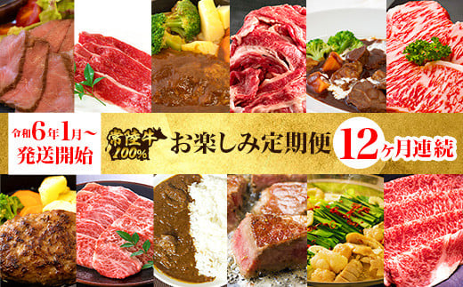 【定期便】【令和6年1月～発送開始】【全12回】常陸牛お楽しみ定期便（12ヶ月連続でお届け） 529