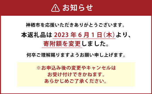 いわしフィーレ 酢〆 寿司 ・ 刺身用 合計600g(15g×20枚×2p)