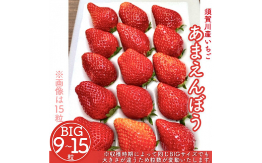 須賀川産いちご「甘園房~あまえんぼう~」BIGサイズ 1パック(9粒~15粒)【1288300】