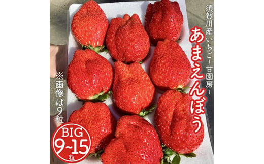 須賀川産いちご「甘園房~あまえんぼう~」BIGサイズ 1パック(9粒~15粒)【1288300】