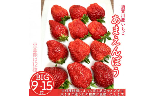 須賀川産いちご「甘園房~あまえんぼう~」BIGサイズ 1パック(9粒~15粒)【1288300】