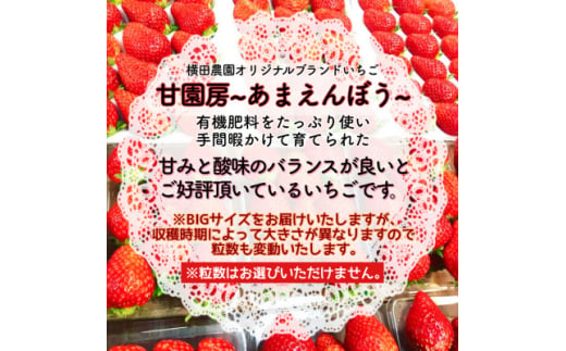 須賀川産いちご「甘園房~あまえんぼう~」BIGサイズ 1パック(9粒~15粒)【1288300】