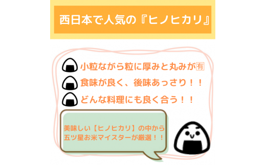 CI739【６回定期便】西日本で人気のお米！ヒノヒカリ白米５ｋｇ【五つ星お米マイスター厳選！】