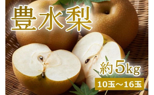 【先行予約／数量限定150】樹上完熟 豊水梨 5kg（10～16個）（2024年9月上旬～発送） 農家直送 ナシ なし ホウスイ ほうすい 人気 フルーツ 果物　BF00010