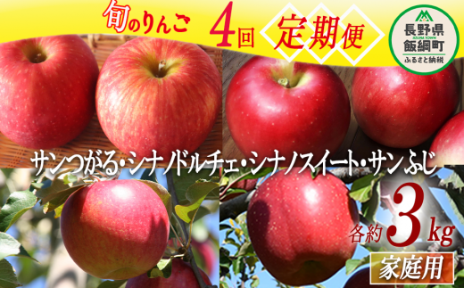 旬のりんご 【 定期便 】 家庭用 3kg × 4回 ファームたんぽぽ 沖縄県への配送不可 2024年9月上旬頃から2024年12月下旬頃まで順次発送予定 令和6年度収穫分 長野県 飯綱町 [1822]