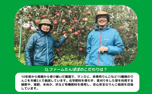 旬のりんご 【 定期便 】 家庭用 3kg × 4回 ファームたんぽぽ 沖縄県への配送不可 2024年9月上旬頃から2024年12月下旬頃まで順次発送予定 令和6年度収穫分 長野県 飯綱町 [1822]