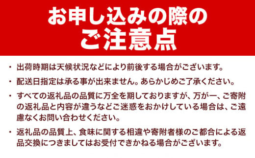 【先行予約】 アスパラ グリーンアスパラ アスパラガス 約 1kg 2Lサイズ (約30本) なよろ観光まちづくり協会《2025年5月下旬-6月下旬頃出荷予定》北海道 名寄市 送料無料 春 野菜 取り寄せ 朝採り 新鮮 産地直送