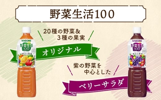 定期便 4ヵ月毎全3回 カゴメ 野菜生活100 飲み比べセット スマートPET 720ml  4種 計12本 オリジナル ベリーサラダ マンゴーサラダ アップルサラダ 野菜 果実 ミックスジュース 野菜ジュース フルーツジュース フルーツ 飲料 KAGOME 送料無料 那須塩原市 ns038-032