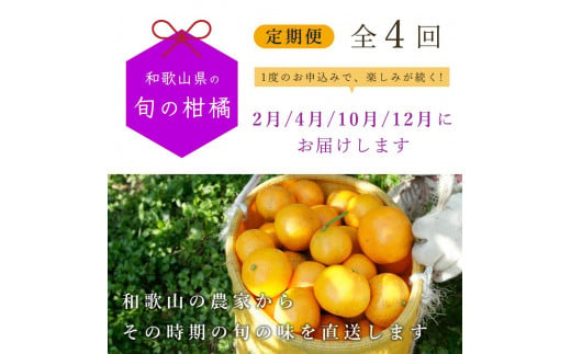 【 2・4・10・12月 全4回 】 柑橘定期便A【IKE5】