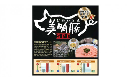 美明豚 切り落とし 1kg & 挽肉 1kg　計 2㎏【茨城県共通返礼品 行方市】 豚肉 国産 銘柄 お手頃 グルメ 茨城県 料理 [CV003sa]