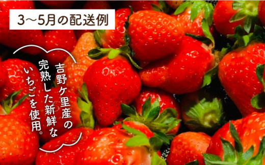 【6袋×12回定期便】犬の無添加おやつ☆お砂糖不使用 旬のドライフルーツ定期便（ペットフード） [FCG010]