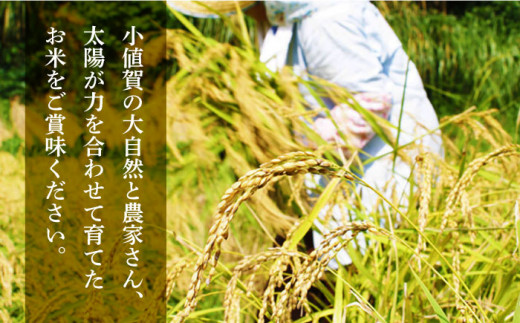 【全12回定期便】【令和6年度産】おぢかんうまか米（小値賀町産こしひかり 3kg ・精白米） [DAB013] コシヒカリ こしひかり 米 お米 白米 ご飯 精米 お弁当  常温