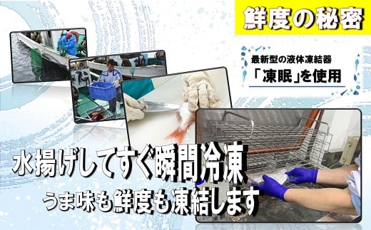 【年6回奇数月】お魚よかろうもん！玄界灘・福津の地魚お楽しみ定期便【冷凍】【随時開始】[F7015]