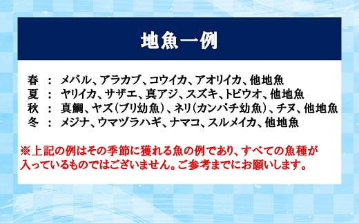 【年6回奇数月】お魚よかろうもん！玄界灘・福津の地魚お楽しみ定期便【冷凍】【随時開始】[F7015]