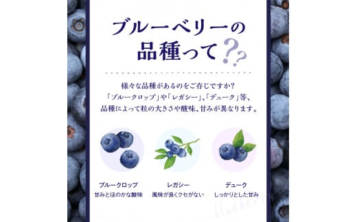 【先行予約：2025年7月25日以降発送】青果ブルーベリーおまかせ２品種食べ比べセット1Kg（500g×2パック）＜アイケイファーム余市＞