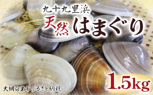 九十九里浜　天然はまぐり　1.5kg【厳選】 ふるさと納税 はまぐり ハマグリ 蛤 天然 九十九里産 国産 ひな祭り 節句 おせち 千葉県 大網白里市  送料無料 P007