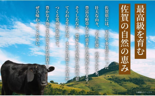 【年内発送！】佐賀牛を焼肉で食べ比べ！6種セット 【ロース・モモ・バラと焼肉屋さん厳選３種】を組み合わせた 合計360g（60g×6種類）焼肉セット 佐賀牛 高級和牛  ロース バラ モモ 部位別 焼肉屋さん 厳選 ギフト 贈り物 年内お届け 年内配送【有田まちづくり公社】N25-11