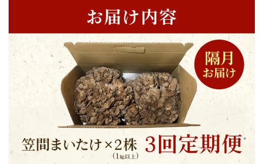  隔月【3回定期便 】飯村きのこ園の笠間まいたけ(1kg以上)