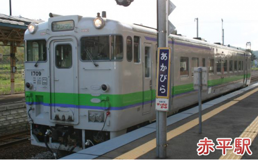 ◆赤平駅・平岸駅・茂尻駅◆mini駅名標セット