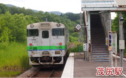 ◆赤平駅・平岸駅・茂尻駅◆mini駅名標セット