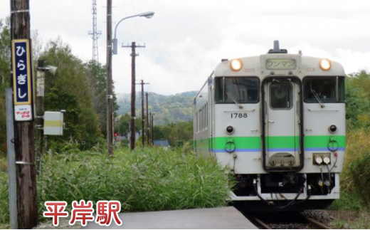 ◆赤平駅・平岸駅・茂尻駅◆mini駅名標セット