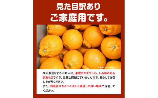 【ご家庭用】紀州有田産 不知火 (しらぬひ) 約8.5kg 魚鶴商店 《2月上旬-3月下旬頃出荷》 和歌山県 日高町 不知火 みかん 柑橘 果物 フルーツ デコポンと同品種 デコポン 訳あり不知火 訳あり 訳ありデコポン   